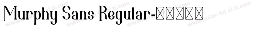 Murphy Sans Regular字体转换